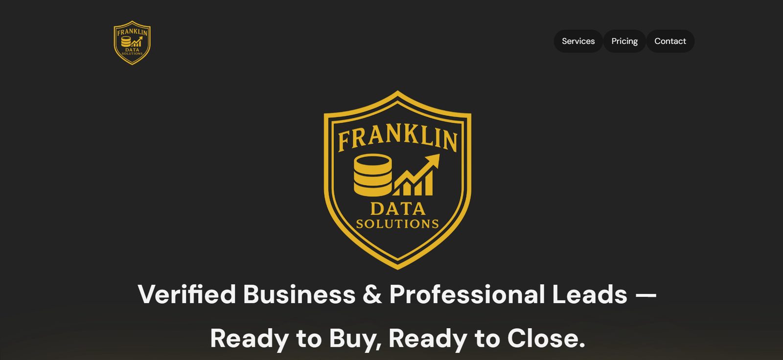 Franklin Data Solutions home page with its logo and headline